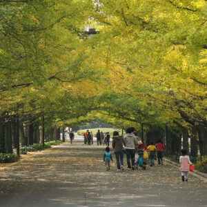 ’09 昭和記念公園