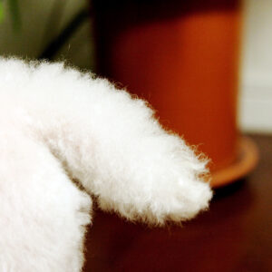 Canon EOS 40D［ 2017-05-23 18:20:55］　f/5.6　1/30sec　ISO-800　85mm　Horizontal (normal)