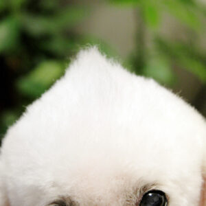 Canon EOS 40D［ 2017-05-23 18:21:19］　f/5.6　1/50sec　ISO-800　85mm　Horizontal (normal)