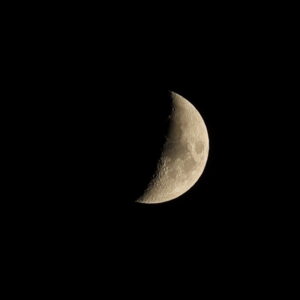 Canon EOS 5D Mark IV［ 2025-07-31 19:37:17］Horita Kiyonobu　f/10　1/15sec　ISO-50　200mm　ノーマル