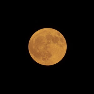 Canon EOS 5D Mark IV［ 2025-08-09 19:17:31］Horita Kiyonobu　f/8　1/5sec　ISO-50　200mm　ノーマル