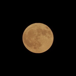 Canon EOS 5D Mark IV［ 2025-08-09 19:17:33］Horita Kiyonobu　f/8　1/5sec　ISO-50　200mm　ノーマル