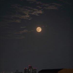 Canon EOS 5D Mark IV［ 2025-08-09 19:19:54］Horita Kiyonobu　f/2.8　1/10sec　ISO-1250　160mm　ノーマル