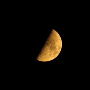 Canon EOS 5D Mark IV［ 2025-08-31 20:36:28］Horita Kiyonobu　f/8　1/8sec　ISO-50　200mm　ノーマル