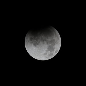 Canon EOS 5D Mark IV［ 2025-09-08 01:32:19］Horita Kiyonobu　f/2.8　1/1000sec　ISO-50　200mm　ノーマル