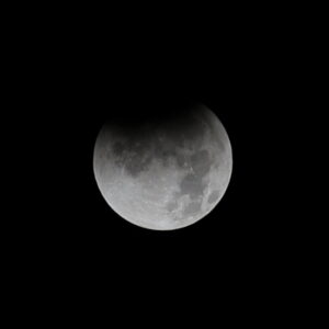 Canon EOS 5D Mark IV［ 2025-09-08 01:36:49］Horita Kiyonobu　f/2.8　1/1000sec　ISO-50　200mm　ノーマル