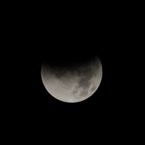 Canon EOS 5D Mark IV［ 2025-09-08 01:47:06］Horita Kiyonobu　f/2.8　1/1000sec　ISO-50　200mm　ノーマル