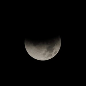 Canon EOS 5D Mark IV［ 2025-09-08 01:52:08］Horita Kiyonobu　f/2.8　1/1000sec　ISO-50　200mm　ノーマル