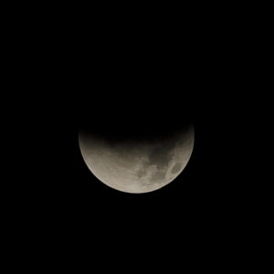 Canon EOS 5D Mark IV［ 2025-09-08 01:57:08］Horita Kiyonobu　f/2.8　1/1000sec　ISO-50　200mm　ノーマル