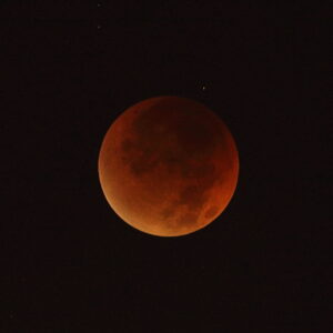 Canon EOS 5D Mark IV［ 2025-09-08 02:48:38］Horita Kiyonobu　f/2.8　1/2sec　ISO-200　200mm　ノーマル