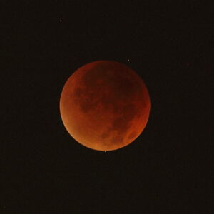 Canon EOS 5D Mark IV［ 2025-09-08 02:52:14］Horita Kiyonobu　f/2.8　1/2sec　ISO-250　200mm　ノーマル