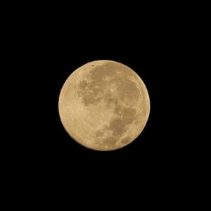 Canon EOS 5D Mark IV［ 2025-10-08 03:54:14］Horita Kiyonobu　f/8　1/125sec　ISO-50　200mm　ノーマル