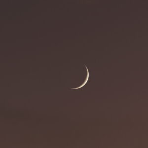 Canon EOS 5D Mark IV［ 2025-11-23 16:53:58］Horita Kiyonobu　f/3.5　1/10sec　ISO-50　200mm　ノーマル