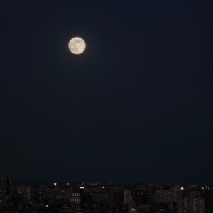 Canon EOS 5D Mark IV［ 2025-12-05 16:53:36］Horita Kiyonobu　f/3.2　1/5sec　ISO-50　200mm　ノーマル