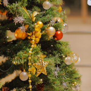 Canon EOS 5D Mark IV［ 2025-12-08 03:31:03］Horita Kiyonobu　f/2.8　1/3sec　ISO-50　105mm　ノーマル