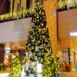 Canon EOS 5D Mark IV［ 2025-12-18 18:47:04］Horita Kiyonobu　f/5　1sec　ISO-50　30mm　ノーマル