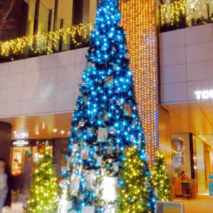 Canon EOS 5D Mark IV［ 2025-12-18 18:47:42］Horita Kiyonobu　f/5　1sec　ISO-50　30mm　ノーマル