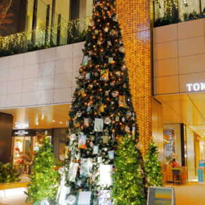 Canon EOS 5D Mark IV［ 2025-12-18 18:48:11］Horita Kiyonobu　f/5　1sec　ISO-50　30mm　ノーマル