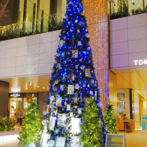 Canon EOS 5D Mark IV［ 2025-12-18 18:48:25］Horita Kiyonobu　f/5　1sec　ISO-50　30mm　ノーマル