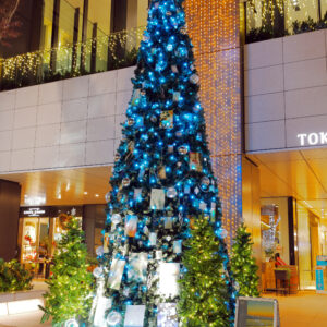 Canon EOS 5D Mark IV［ 2025-12-18 18:48:43］Horita Kiyonobu　f/5　1sec　ISO-50　30mm　ノーマル