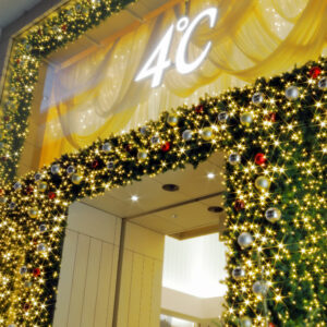 Canon EOS 5D Mark IV［ 2025-12-18 19:01:37］Horita Kiyonobu　f/3.5　1/13sec　ISO-50　41mm　ノーマル