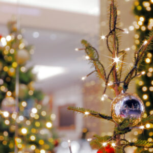 Canon EOS 5D Mark IV［ 2025-12-18 19:04:39］Horita Kiyonobu　f/2.8　1/15sec　ISO-50　70mm　ノーマル