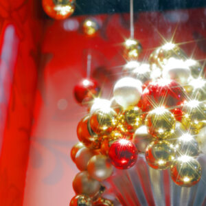 Canon EOS 5D Mark IV［ 2025-12-18 19:27:06］Horita Kiyonobu　f/2.8　1/10sec　ISO-50　70mm　ノーマル