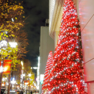 Canon EOS 5D Mark IV［ 2025-12-18 19:46:23］Horita Kiyonobu　f/5　2sec　ISO-50　35mm　ノーマル