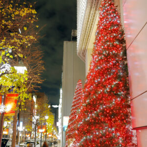 Canon EOS 5D Mark IV［ 2025-12-18 19:46:50］Horita Kiyonobu　f/5　2.5sec　ISO-50　35mm　ノーマル