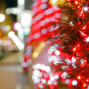 Canon EOS 5D Mark IV［ 2025-12-18 19:50:48］Horita Kiyonobu　f/3.2　1/2sec　ISO-50　70mm　ノーマル