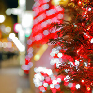 Canon EOS 5D Mark IV［ 2025-12-18 19:51:00］Horita Kiyonobu　f/3.2　1/2sec　ISO-50　70mm　ノーマル