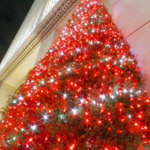 Canon EOS 5D Mark IV［ 2025-12-18 19:52:32］Horita Kiyonobu　f/5　2.5sec　ISO-50　24mm　ノーマル