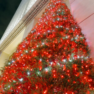 Canon EOS 5D Mark IV［ 2025-12-18 19:52:45］Horita Kiyonobu　f/5　2.5sec　ISO-50　24mm　ノーマル