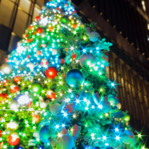 Canon EOS 5D Mark IV［ 2025-12-18 20:18:38］Horita Kiyonobu　f/2.8　1/3sec　ISO-50　42mm　ノーマル