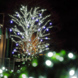 Canon EOS 5D Mark IV［ 2025-12-18 20:21:48］Horita Kiyonobu　f/2.8　1/5sec　ISO-50　70mm　ノーマル