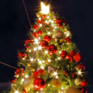 Canon EOS 5D Mark IV［ 2025-12-18 20:27:55］Horita Kiyonobu　f/2.8　1/3sec　ISO-50　70mm　ノーマル