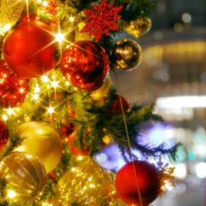 Canon EOS 5D Mark IV［ 2025-12-18 20:29:08］Horita Kiyonobu　f/2.8　1/1sec　ISO-50　70mm　ノーマル