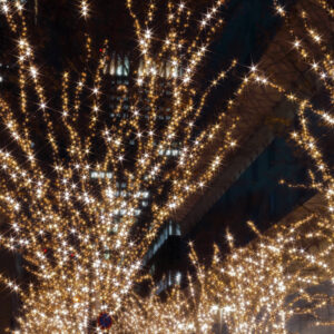 Canon EOS 5D Mark IV［ 2025-12-18 20:34:08］Horita Kiyonobu　f/4.5　1/2sec　ISO-50　59mm　ノーマル