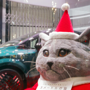 Canon EOS 5D Mark IV［ 2025-12-18 20:54:39］Horita Kiyonobu　f/4　1/3sec　ISO-50　45mm　ノーマル