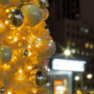 Canon EOS 5D Mark IV［ 2025-12-18 21:03:33］Horita Kiyonobu　f/2.8　1/4sec　ISO-50　70mm　ノーマル