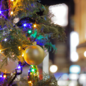 Canon EOS 5D Mark IV［ 2025-12-18 21:12:25］Horita Kiyonobu　f/2.8　1/3sec　ISO-50　70mm　ノーマル