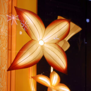 Canon EOS 5D Mark IV［ 2025-12-18 21:23:54］Horita Kiyonobu　f/5　1/20sec　ISO-50　35mm　ノーマル