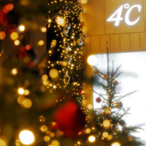 Canon EOS 5D Mark IV［ 2025-12-18 21:32:25］Horita Kiyonobu　f/2.8　1/30sec　ISO-50　70mm　ノーマル