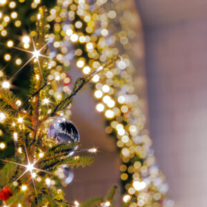 Canon EOS 5D Mark IV［ 2025-12-18 12:33:14］Horita Kiyonobu　f/2.8　1/10sec　ISO-50　70mm　ノーマル