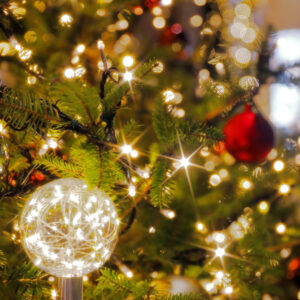 Canon EOS 5D Mark IV［ 2025-12-18 12:33:41］Horita Kiyonobu　f/2.8　1/25sec　ISO-50　53mm　ノーマル