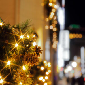 Canon EOS 5D Mark IV［ 2025-12-18 12:36:23］Horita Kiyonobu　f/2.8　1/5sec　ISO-50　70mm　ノーマル