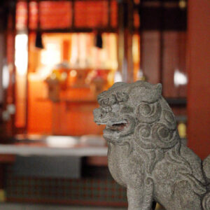 Canon EOS 5D Mark IV［ 2026-01-01 12:04:33］Horita Kiyonobu　f/2.8　1/80sec　ISO-16000　70mm　ノーマル