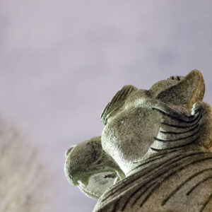 Canon EOS 5D Mark IV［ 2026-01-01 12:07:59］Horita Kiyonobu　f/2.8　1/60sec　ISO-32000　70mm　ノーマル