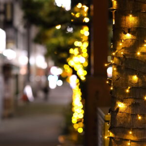 Canon EOS 5D Mark IV［ 2026-01-05 05:47:21］Horita Kiyonobu　f/2.8　1/80sec　ISO-1600　85mm　ノーマル