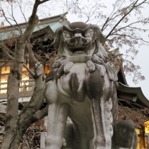 Canon EOS 5D Mark IV［ 2026-01-11 06:40:52］Horita Kiyonobu　f/3.5　1/40sec　ISO-2500　50mm　ノーマル